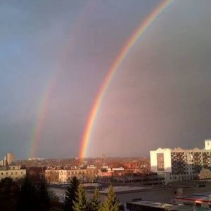 Meet your Posher, Sheila